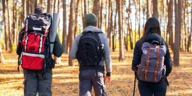 Ormanın yanından geçen, hafta sonunu dışarıda geçiren üç yürüyüşçünün yakınlaşması.