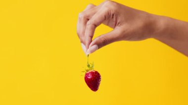 Bir el zarif bir şekilde olgun, taze bir çileği yeşil sapıyla tutar, canlı sarı bir zemin üzerine kurulur. Karşıtlık, zengin kırmızı renk ve dokuyu vurgular.