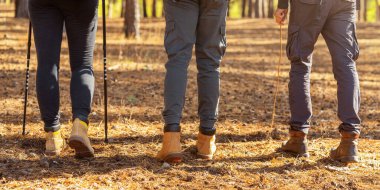 Sonbaharda ormandan geçen üç turistin bacakları kesilmiş.
