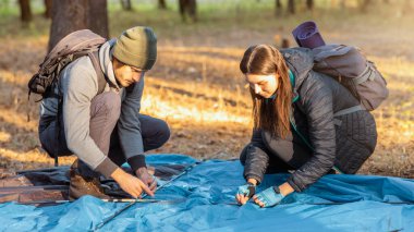 Birkaç turist çadır kuruyor, sonbahar ormanlarında güneş ışığında mola veriyorlar.