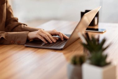 Bilgi Aranıyor. Dizüstü bilgisayar kullanan Avrupalı bir kız, kadın ellerine yakın, boş alan