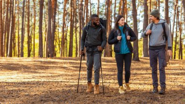 Neşeli uluslararası yürüyüşçüler ormanda yürürken konuşuyor ve gülüyorlar.