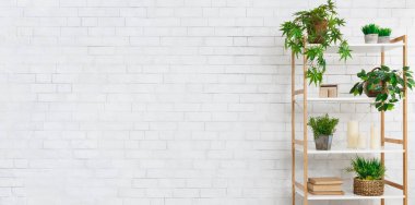 Dekoratif raf karanfiller, kitaplar ve candeles beyaz tuğla duvar, kopya alanı yakınında. Saf eko tasarım konsepti