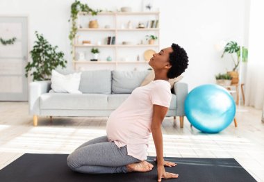 Siyahi hamile bir kadının meditasyon sırasında ya da evde yoga yaparken arkaya doğru eğilmesi. Güzel Afro-Amerikan hamile bayan içeride nefes egzersizi yaparken esniyor.