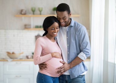 Siyahi hamile kadın ve yakışıklı kocası evde pencerenin yanında birlikte vakit geçirirken kucaklaşıp gülümsüyorlar. Romantik Afrikalı Amerikalı çift içeride bebek bekliyor. Ebeveynlik kavramı