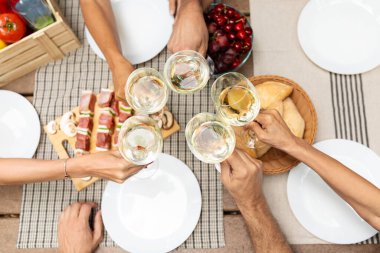 Canlı bir açık hava buluşmasında arkadaşlar şarap kadehleriyle kadeh kaldırıyorlar. Lezzetli aperatifler ve taze meyveler masaya serilmiş, neşeli bir atmosfer yaratıyor..