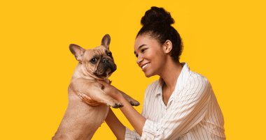 Evcil hayvanla eğlenmek. Mutlu Afrikalı genç Amerikalı kadın, Fransız Bulldog köpeğiyle oynuyor, sarı arka planda, stüdyoda, boş alanda oturuyor.