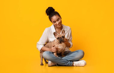 Milenyum Afro Köpeğinin, Fransız köpeği ile yerde oturup, sarı arka planda poz vermesinin portresi.