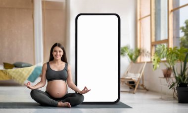 Hamile bir kadın yoga pozunda otururken çiçeklerle süslenmiş parlak bir odada huzur içinde gülümsüyor. Yanında duran büyük, boş bir ekran sükuneti vurguluyor..