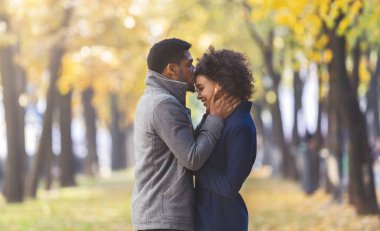 Sonbahar şehir parkında yürürken kız arkadaşı alnını öpen Afrikalı-Amerikalı genç adam, kopya alanı