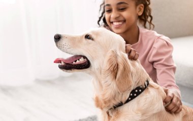 Hayvan Sevgisi ve Bakımı. Neşeli siyah kız köpeğiyle yerde oturuyor, evcil hayvanını tırmalıyor, evdeki oturma odasında veya yatak odasında altın emeklilerle oynuyor ve vakit geçiriyor, bedava fotokopi çekiyor.