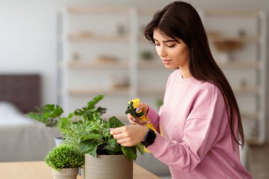 Ev kavramı. Evin bitkileriyle ilgilenen, yatak odasında bahçeyle ilgilenen genç bir kadın. Güzel ev hanımı elinde şişeyle bir bitkiye saf su püskürtüyor. Seçici odak, bulanık arkaplan