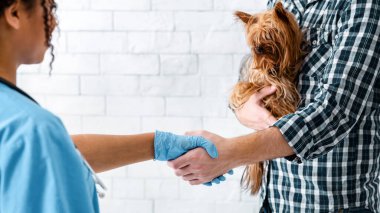 Veteriner doktorla klinikteki küçük köpek sahibi arasındaki tokalaşma.