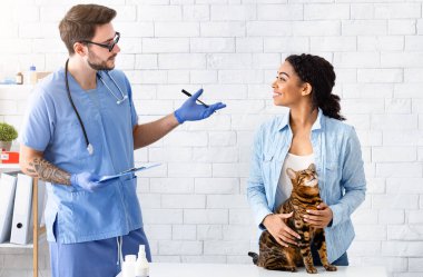 Veteriner muayenesi. Genç doktor hayvan hastanesinde kedi sahibiyle konuşuyor.