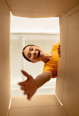 Duygusal Koreli kadının internetten sipariş alıp karton paketini evde açtığı son manzara. Genç mutlu bayan teslimattan memnun, internetten alışveriş yapıyor.