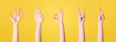 Tanımlanamayan bir kadınla yapılan kolaj beyaz ve yakın çekim üzerine izole edilmiş çeşitli jestler gösteriyor. Panorama