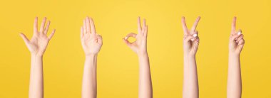 Tanımlanamayan bir kadınla yapılan kolaj beyaz ve yakın çekim üzerine izole edilmiş çeşitli jestler gösteriyor. Panorama