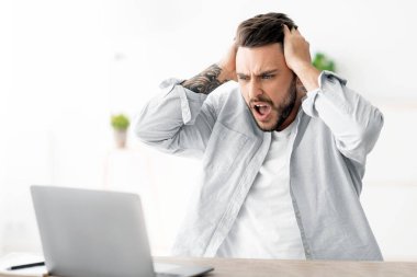 Yazılım, web sitesi hatası, dizüstü bilgisayara bakmak ve el kol hareketi, ev içi iş yerinde oturmak, boş alan. Genç adam kumar oynarken, internette oynarken kaybediyor.