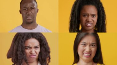 Dört birey tepkilerinde çeşitlilik gösteren çeşitli duygular sergiliyor. Her insanın kendine has bir ifadesi vardır. Canlı ve çekici bir atmosfere katkıda bulunur..