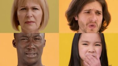 Sürpriz, üzüntü ve kafa karışıklığı gibi çeşitli duygular sergileyen çeşitli bireylerden oluşan bir derleme. Renkli arka plan onların eşsiz tepkilerinin yoğunluğunu arttırır.