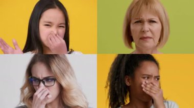 Çeşitli bireylerden oluşan bir koleksiyon tiksinti ve kafa karışıklığı gibi jestlerle çeşitli duygular sergiliyor. Her insan kendi canlı bölümünde izole edilir ve güçlü duygular taşır..