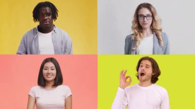 Çeşitli duyguları jestler yoluyla sergileyen çeşitli bireylerden oluşan bir derleme. Her insan kendi bölümünde izole edilmiş renkli arka planlara karşı eşsiz ifadeler sergiliyor..