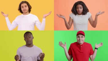 Bu koleksiyonda dört çok ırklı bireyin canlı geçmişlerine karşı kafa karışıklığı ve merak belirtileri gösteriliyor. Her insan eşsiz duygular sergiler, dinamik bir görsel yaratırlar..