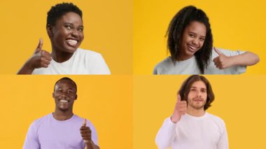 Her biri neşeli ifadeleri olan dört genç yetişkin, canlı sarı bir zemine karşı dururlar. Gülüşleri coşku ve coşkuyu canlı bir ortamda yansıtır..