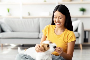 Neşeli, genç, güzel Japon bayan evde oynarken köpek maması veriyor. Mutlu kadın, hoş, tüylü Jack Russell Terrier köpeğiyle vakit geçiriyor. Kopya uzayı.