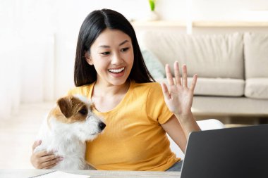 Köpekli güzel Asyalı bir kadın dizüstü bilgisayarla video konferansı yapıyor, gülümseyen serbest çalışan bir bayan Jack Russell Terrier 'ı kucağında tutuyor ve not defterinden feragat ediyor, iş arkadaşlarıyla görüntülü konuşma yapıyor.