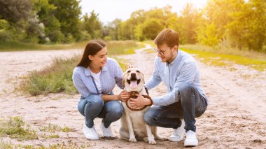 Yaz yürüyüşü. Gülümseyen modern aile oturuyor ve sevimli köpek yavrularını okşuyor, güneş parlıyor, mekanı kopyalıyor.