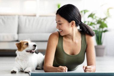 Güzel köpek yavrusu, spor giyim kuşamında spor kıyafetleriyle spor salonundaki neşeli genç bayanla egzersiz yapıyor. Oturma odasında yoga minderinin üzerine uzanmış tatlı Jack Russel Terrier 'a bakıyor. Uzayın fotokopisini çekiyor.