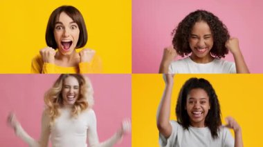 Dört neşeli kadın heyecanlarını ve zaferlerini neşeli jestlerle ifade ederler. Her kadın kazanma konusunda eşsiz bir tepki sergiler, canlı arkaplanlara karşı..