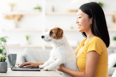 Milenyum Asyalı güzel bir kadının serbest çalışan, tatlı köpeğiyle evde çalışan, dizüstü bilgisayarda yazan, kucağında Jack Russel köpeği tutan, uzay kopyası...