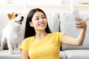 Gülümseyen Asyalı genç bir kadın, rahat rahat oturma odasında kanepede oturuyor, sevimli tüylü köpeği Jack Russel terrier ile selfie çekiyor evde oynarken, cep telefonu kullanıyor, uzay kopyaları kopyalıyor.
