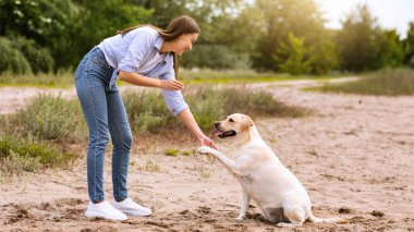 En İyi Arkadaş Mans. Tatlı Labrador 'un heyecanlı kıza pençe atması açık havada tedavi, bulanık arka plan, kopyalama alanı