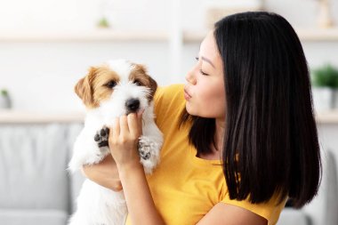 Milenyum Koreli kadın, oturma odasında halının üzerinde oturmuş, tüylü Jack Russell Terrier köpeğini tutuyor. Kadın sahibi, evinde köpeğiyle kucaklaşırken sağlıklı şeyler veriyor.