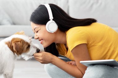 Duygusal Japon milenyum kadını evdeki evcil hayvanıyla kucaklaşıyor, oturma odasında kablosuz kulaklıkla oturmuş, müzik dinliyor ve sevimli köpeğini okşuyor, ped kullanıyor.