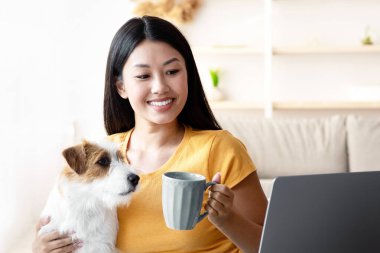 Neşeli Asyalı genç bayan serbest kahve molası veriyor. Evde internet üzerinden çalışırken, dizüstü bilgisayarla masaya oturuyor, kahve içiyor, film izliyor, köpek yavrusu Jack Russel Terrier 'ı tutuyor.