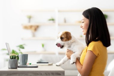 Bin yıllık Japon bir kadının rahat rahat bir şekilde evden çalışan tüylü köpeğiyle dizüstü bilgisayarda daktilo yazarken kucağında Jack Russel köpeği tutarken, uzay fotokopisi çekerken yan görüntüsü.