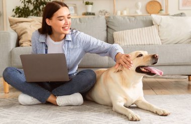İçişleri Bakanlığı. Oturma odasında dizüstü bilgisayar kullanarak oturan, köpeğini okşayan serbest çalışan neşeli bir kadın.