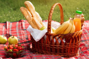 Park 'taki kareli battaniyenin üzerinde farklı yemek çeşitleri olan piknik sepeti, kopyalama alanı