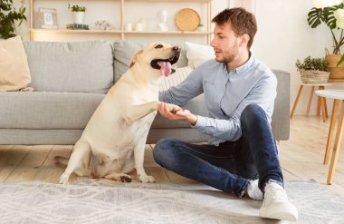 Evcil köpek arkadaşı olan bir adam oturma odasında yerde oturuyor. Mutlu adam, sevimli köpek yavrusuna el sıkışmayı öğretiyor. Rahatlık ve destek için insan ve hayvan dostluğu. Neşeli hayat arkadaşı kavramı.