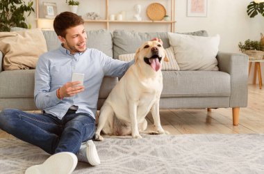 En iyi arkadaş konsepti. Elinde cep telefonu olan tatmin olmuş bir adam yerde oturmuş labradorunu ovuyor.