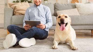 Yerde yatan mutlu golden retriever portresi, bulanık arka planda tabletle oturan genç adam, seçici odaklanma