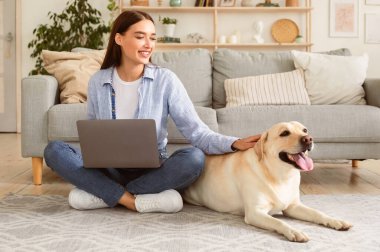 Evcil hayvan. Yerde yatan mutlu altın labrador av köpeğinin portresi, dizüstü bilgisayar kullanarak köpeğini okşayan genç bir kadın. Oturma odasındaki cihazda video izleyen bir bayan.