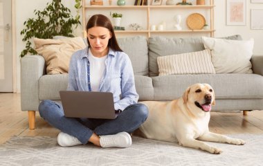 İçişleri Bakanlığı. Uzaktan çalışan odaklanmış bir kadın oturma odasında yerde oturan dizüstü bilgisayarını kullanıyor. Serbest ve Telsiz Konsepti. Halıda yatan mutlu labrador, kopyalama alanı
