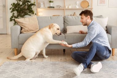 İnsan ve Hayvan İlişkileri Konsepti. İtaatkar köpek, oturma odasında sahibine patisini uzatıyor.