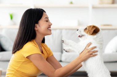 Mutlu Koreli bayan evde, yan görüş alanında, kopyalama alanında Jack Russell terrier köpeğiyle eğleniyor. Bin yıllık olumlu bir kadın. Kırmızı beyaz tüylü bir köpek yavrusu kaldırıyor ve gülümsüyor.