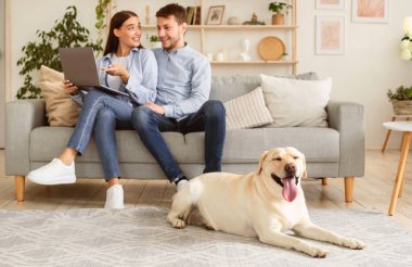 Evde vakit geçirmek. Dizüstü bilgisayar kullanan erkek ve kadının portresi koltukta oturan mutlu bir evcil hayvan evde yerde yatıyor. Yaşam tarzı kavramı. Oturma odasında birlikte kanepede dinlenen ve bilgisayarı işaret eden çift.